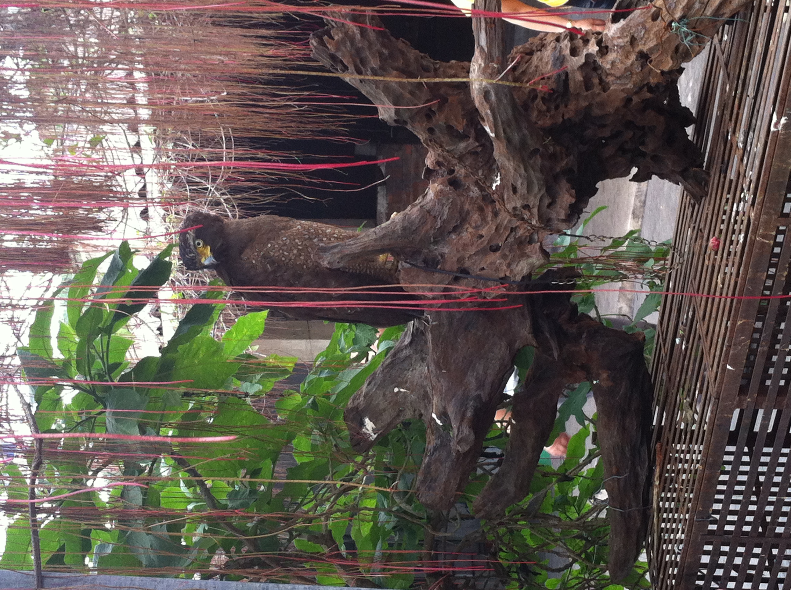 十年前的越南神曲,十年前的越南旅游