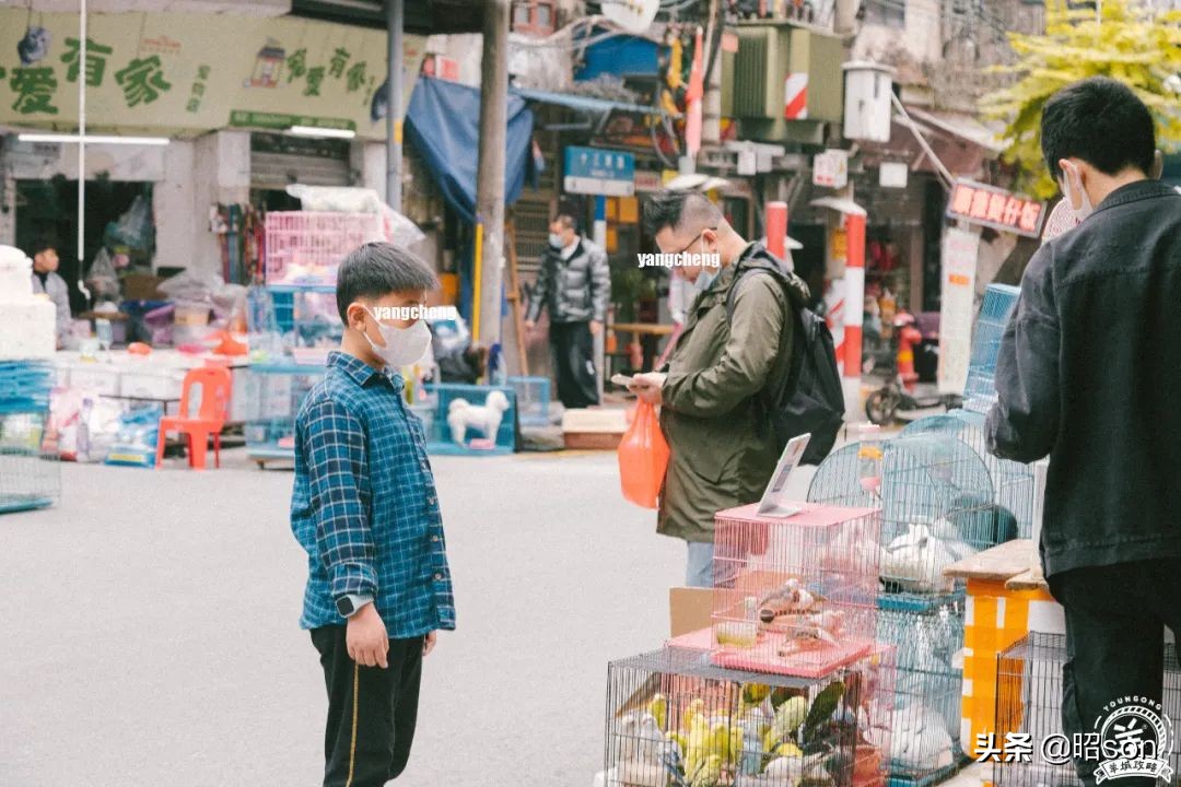 广州清平市场哪家好,清平市场攻略