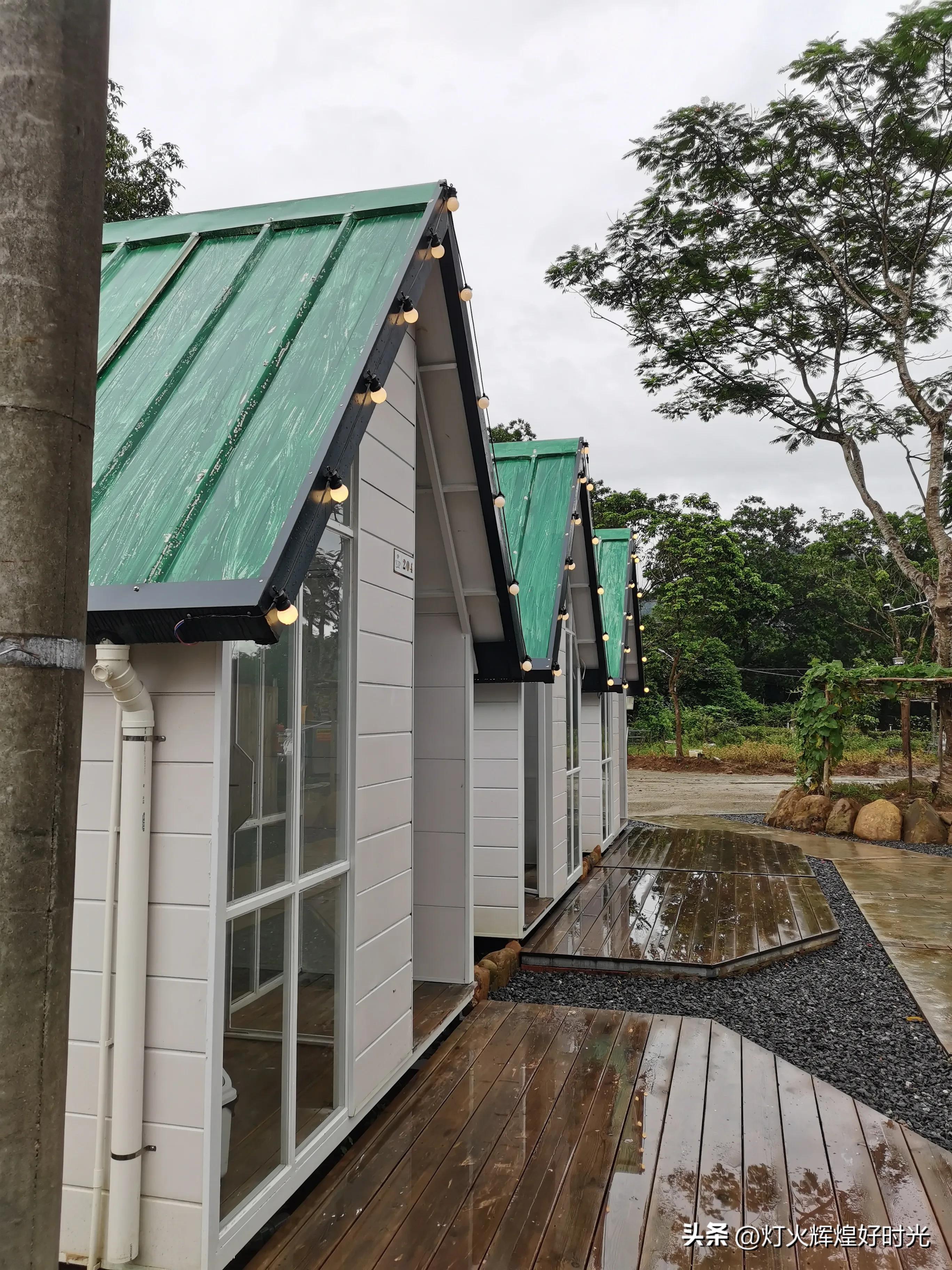 夏日掠影,雨天花开,人见人爱