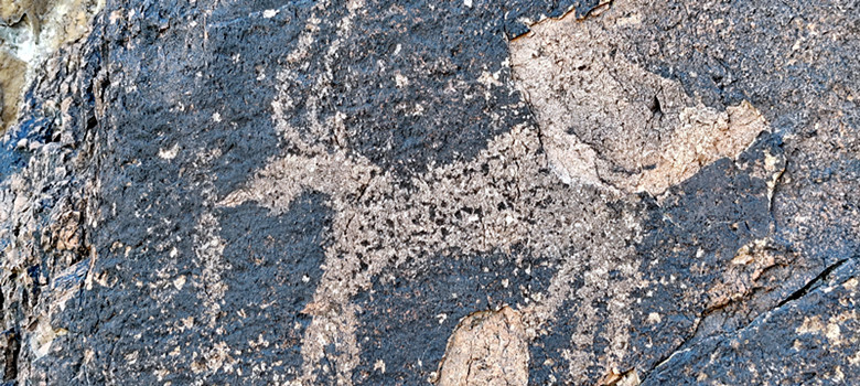 *疆新**兵团四师七十三团布库尔萨依岩画竟如此惟妙惟肖