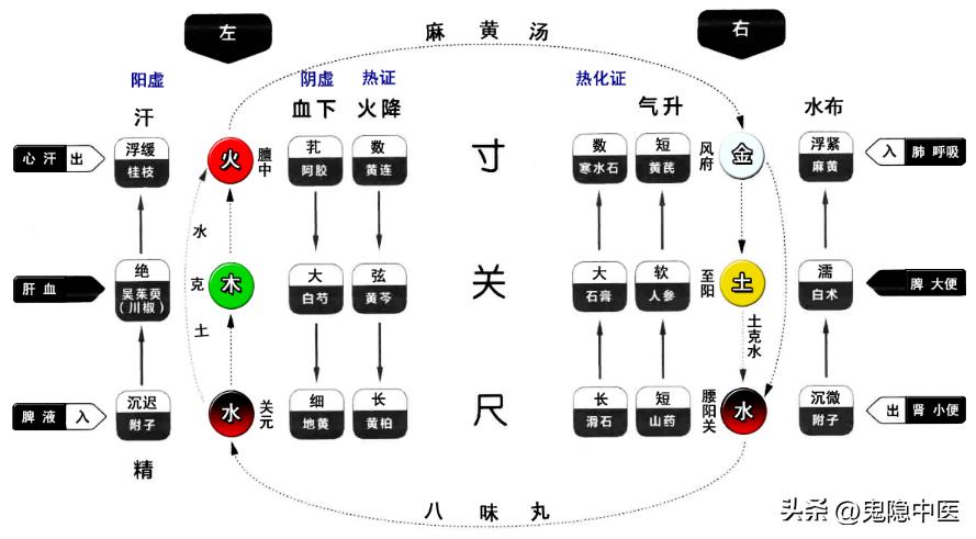 平脉辨证治专病,平脉经方