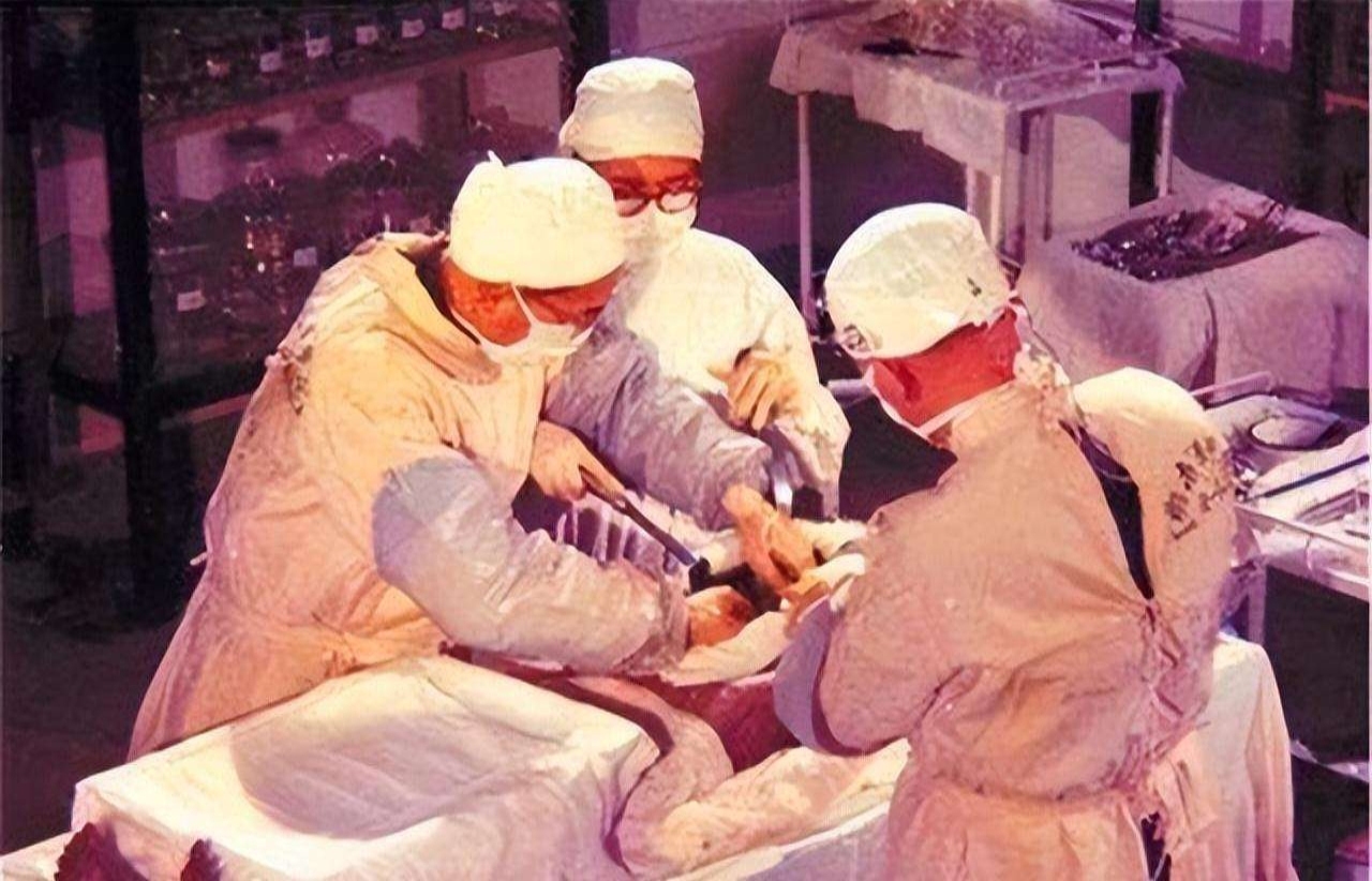 尸毒的危害解谜,辛追女尸为什么那么恐怖