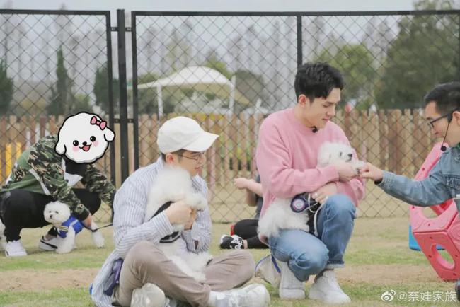 宠物驯兽师职业前景,宠物驯养师前途怎么样