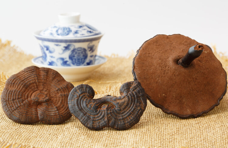 灵芝孢子粉怎么吃才能抗癌,破壁灵芝孢子粉真的能预防癌症吗