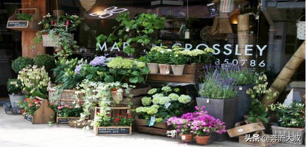 如何自己开一家花店,怎么才能开一家花店卖花
