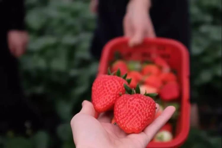 聚龙小镇：离城不离尘的心灵