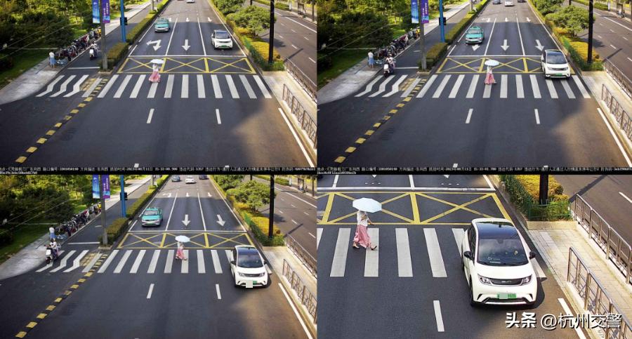 浙AA**335、浙A0**P0、浙AA**105这些车上榜了