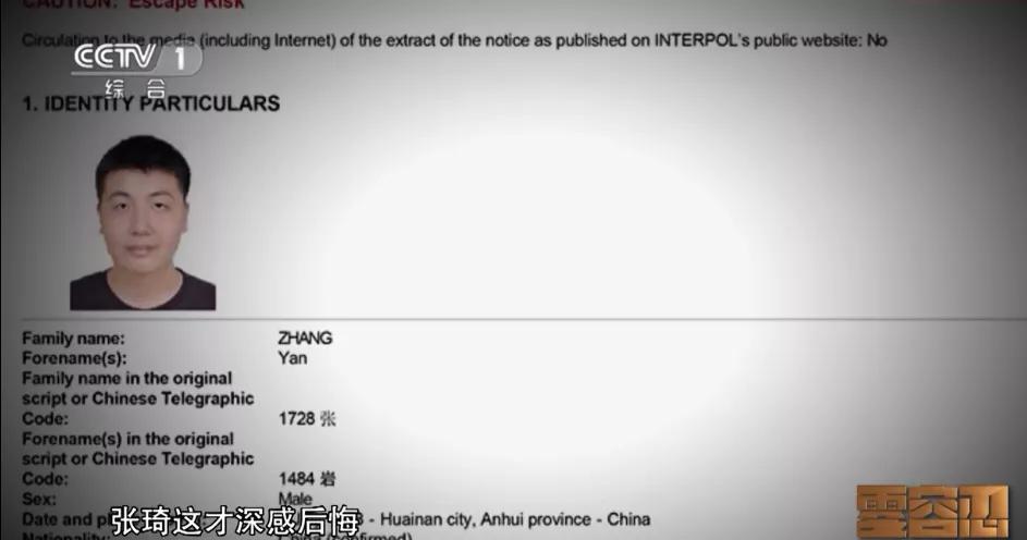 王富玉之子王斌、云光中之子云磊、云公民之子云凯晨、张琦之子张岩的那些事