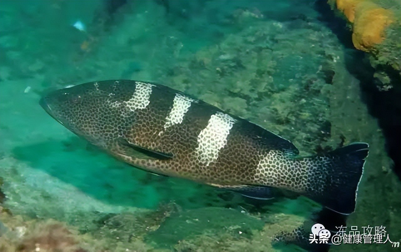 美容护肤食疗方案,美容护肤养生介绍