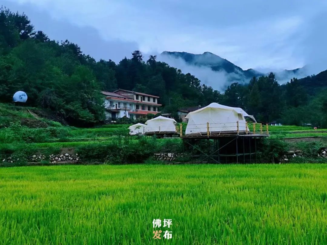 王家坪乡村旅游,佛坪县打造旅游景区