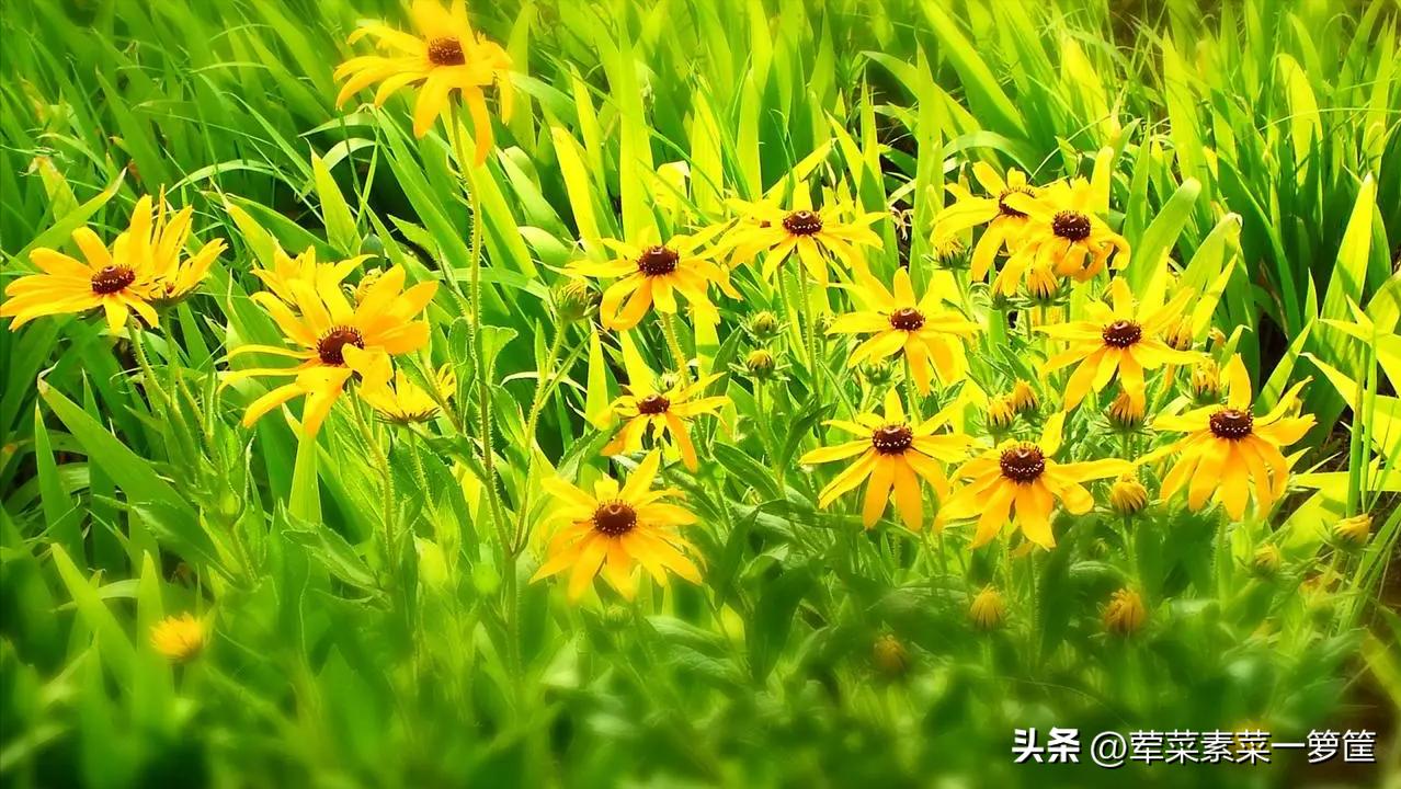 父亲中风无法自理,爸爸中风心里难受