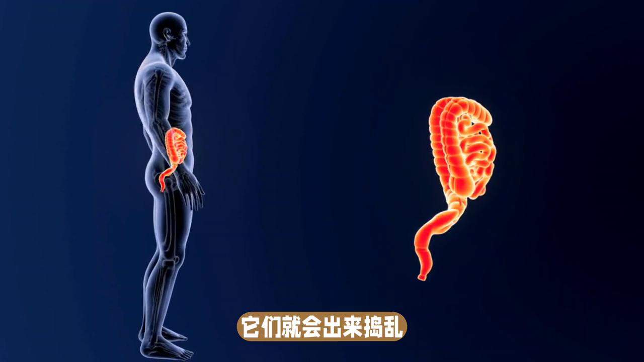 憋屎容易便秘,憋大便憋小便是什么后果