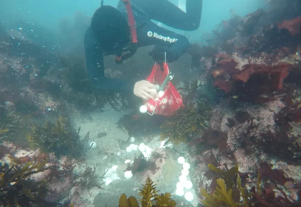 盘点高尔夫球,高尔夫球的八大罪状