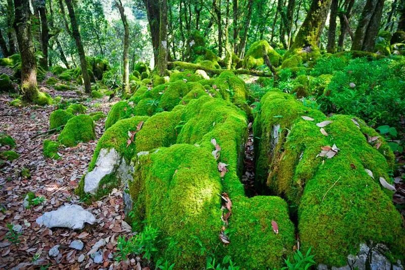 攀枝花领地阳光花城,攀枝花普达阳光康养胜地