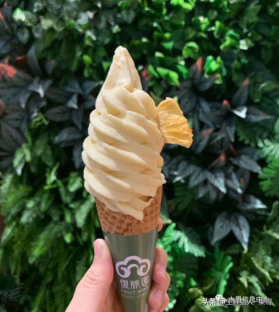 #奇异水果知多少#椰柿、黄晶果、冰淇淋果、巧克力布丁果等