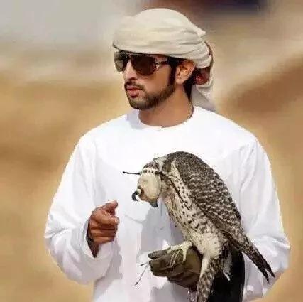 迪拜哈曼丹王子年龄,迪拜王子哈曼丹跳舞视频