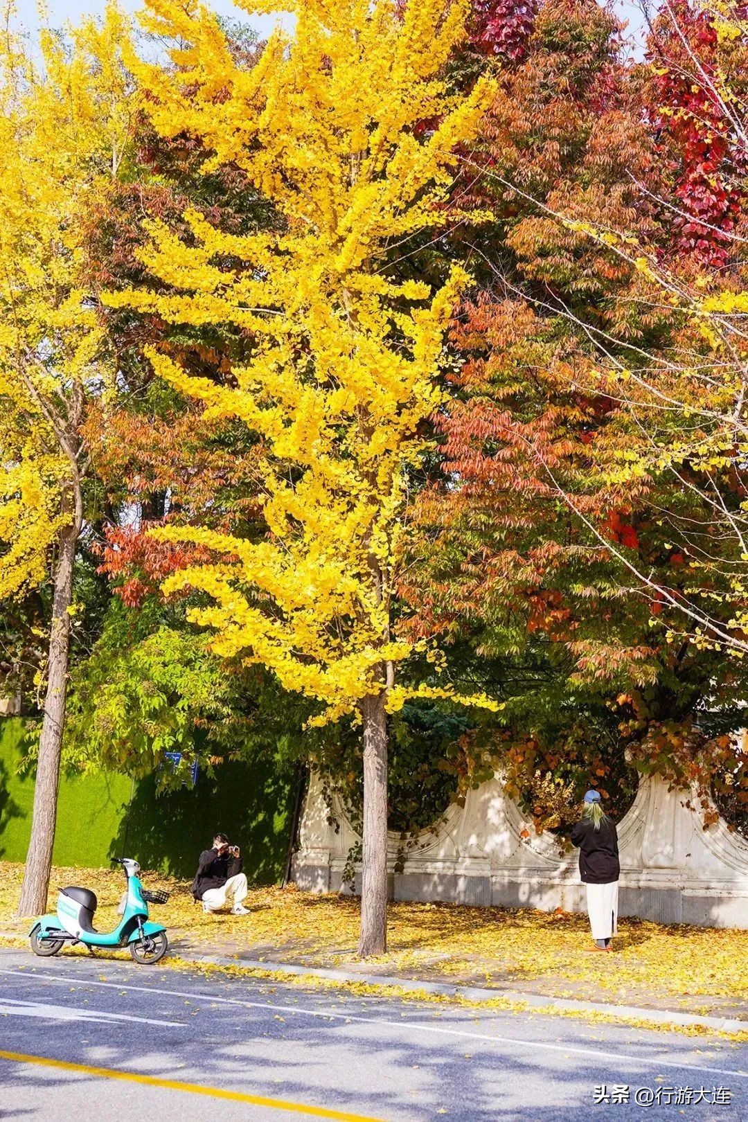 大连海边网红打卡地,大连黑石礁打卡网红景点