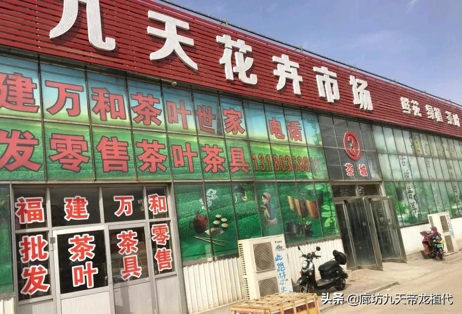 廊坊九天花卉市场,九天花卉市场植物