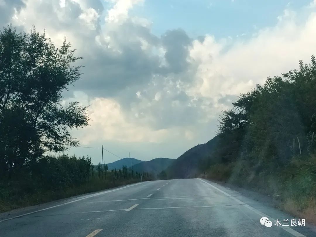 相亲之路十六：匆匆还乡防断肠