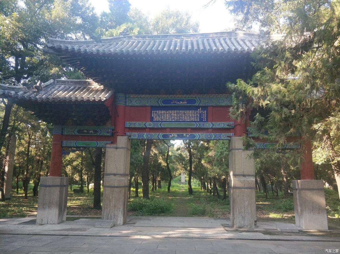 山东孔林存在2400年,周围不见乌鸦蛇鼠,只因林中有这两样东西