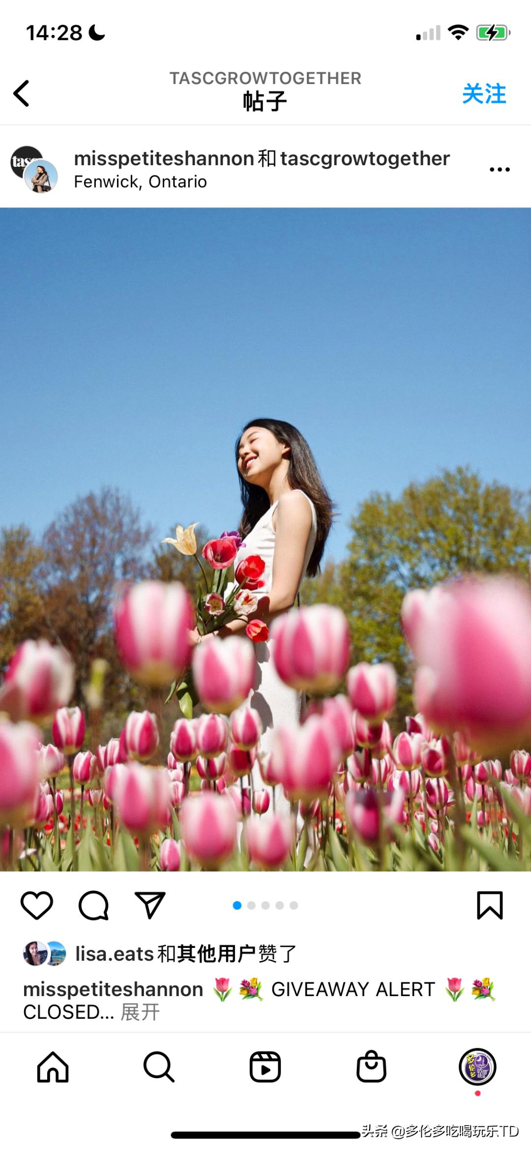 邂逅五彩斑斓的油菜花田,郁金香花田旅游攻略