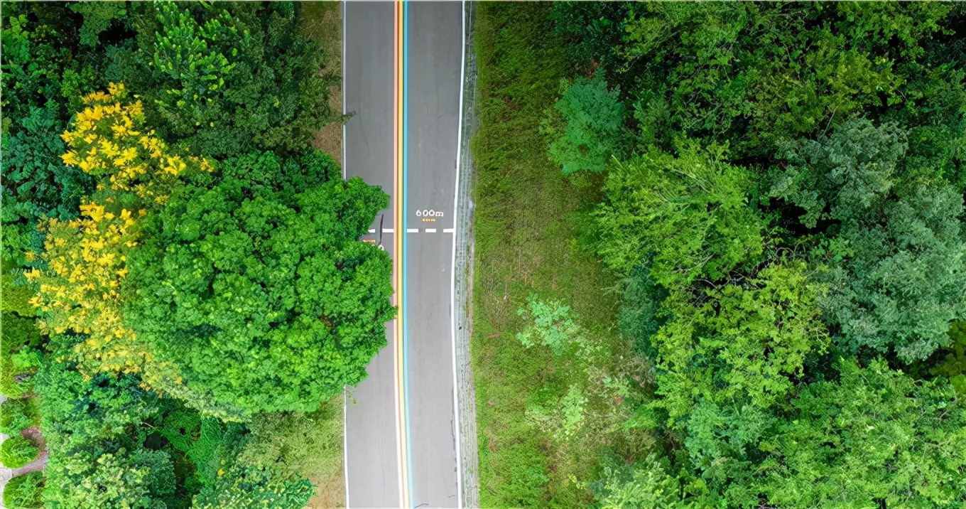 十大健身林荫步道,南京极美长江