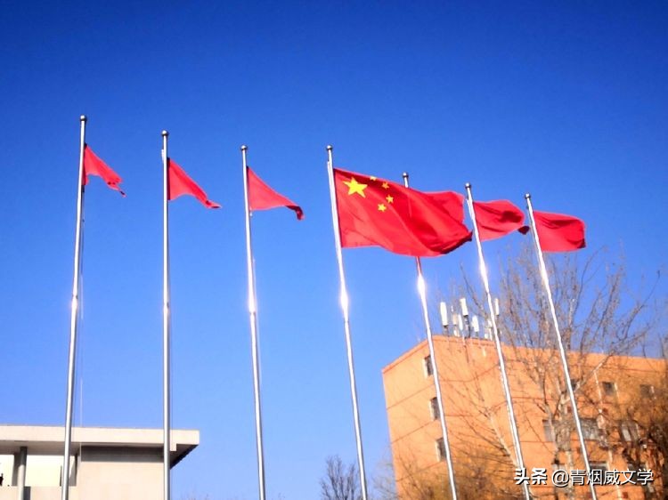 夺冠英姿神采扬，玫瑰盛开尽欢歌（诗五首）