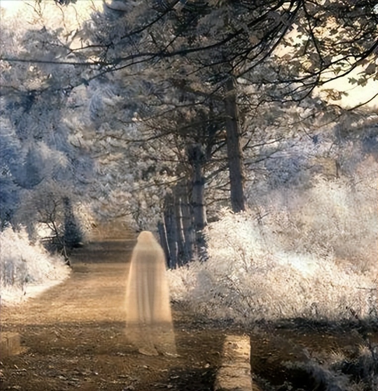 国学大师曾仕强讲报应,国学大师曾仕强不要指责别人