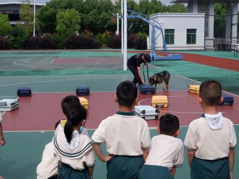 小萌娃应邀进警营警彩体验零距离,警彩少年平安校园