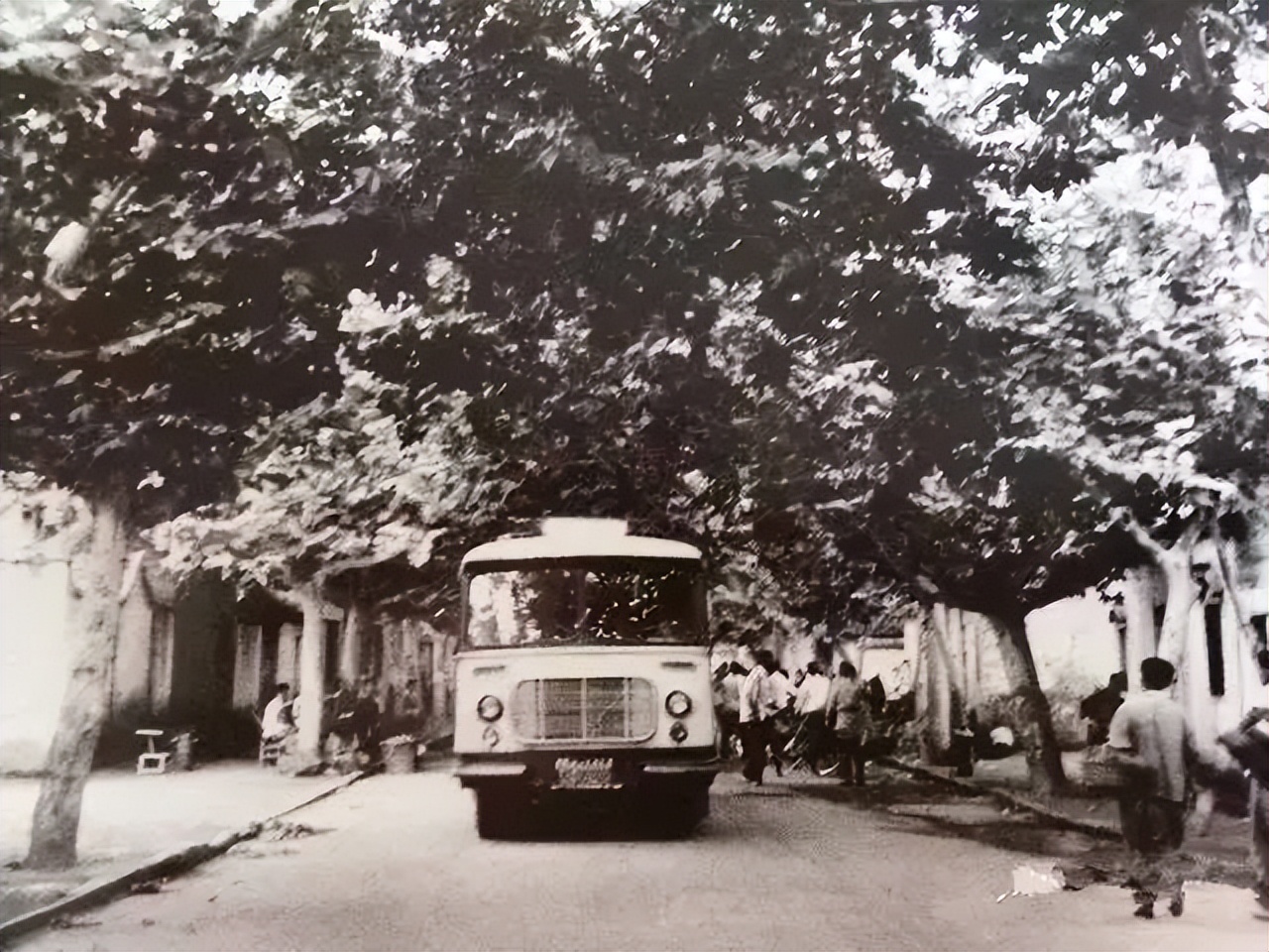 无为前世今生,无为的历史悠久吗