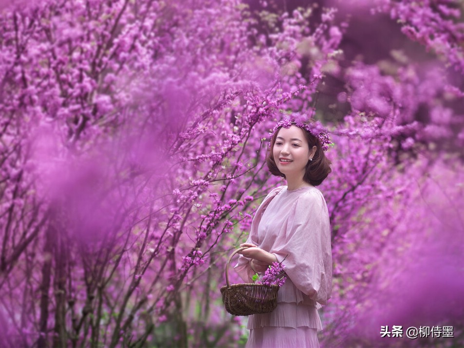 摄影技巧12种简单的拍照方法,拍照新手学习3个摄影技巧