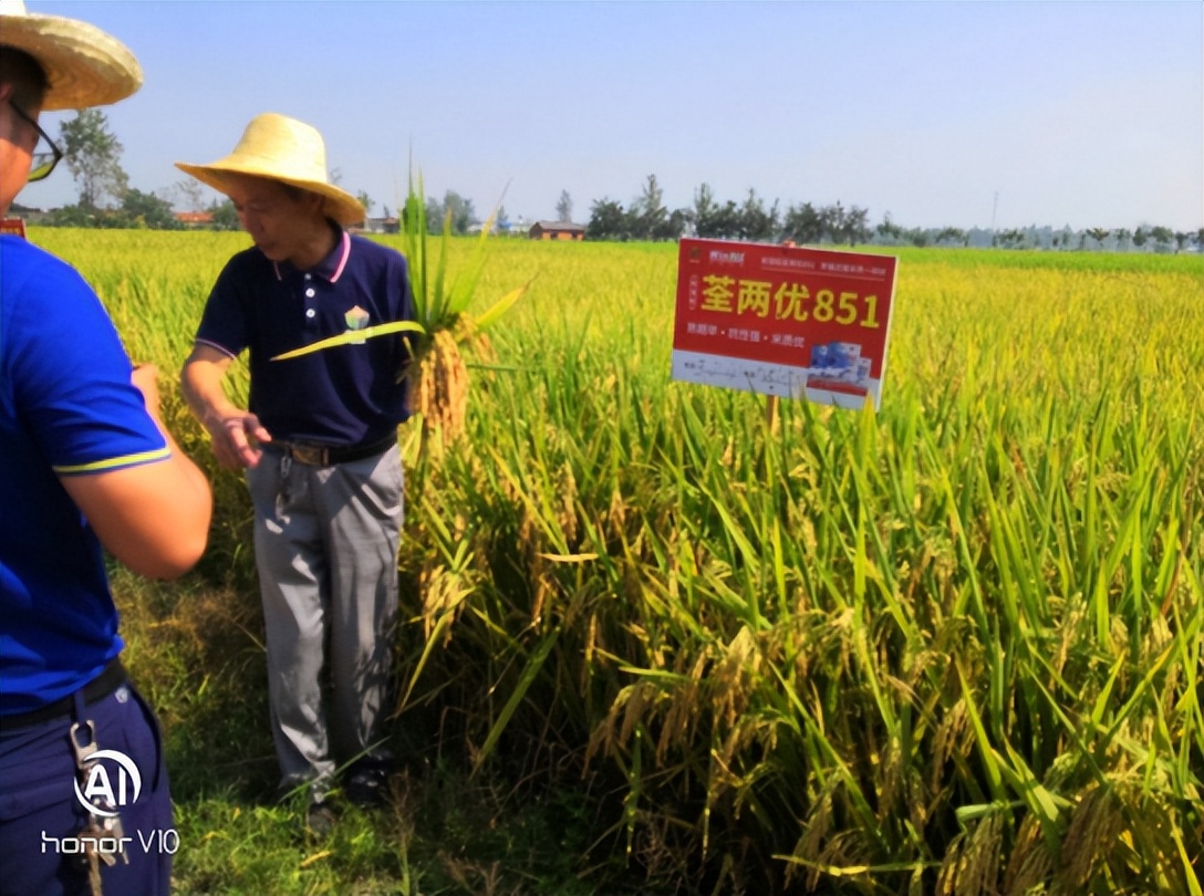 预制菜直播,乡村体育也是发展机遇
