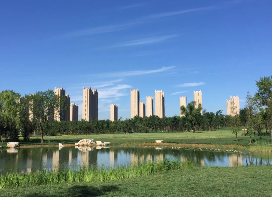 南京大厂露营,十一期间露营地