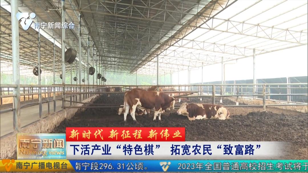 养殖牛致富新模式,养牛致富新项目视频