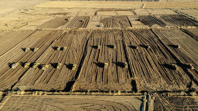 农村承包土地最新政策到期怎么办,农村户口全部迁出土地承包收回吗
