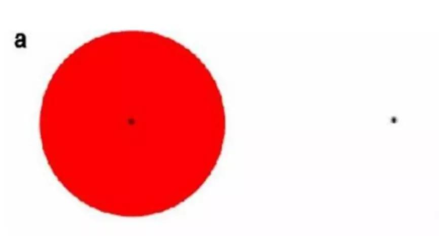 抗原检测的工作原理是什么？|No.341