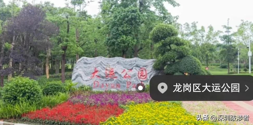 为什么年轻人都去深圳发展,为什么年轻人留在深圳