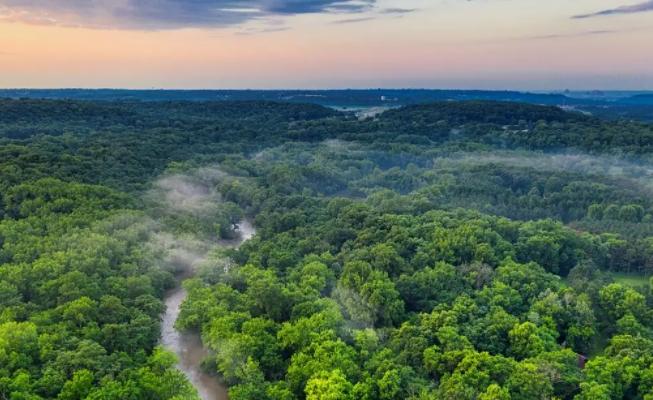 巴西最近一年世界杯夺冠,巴西5次世界杯冠军夺冠