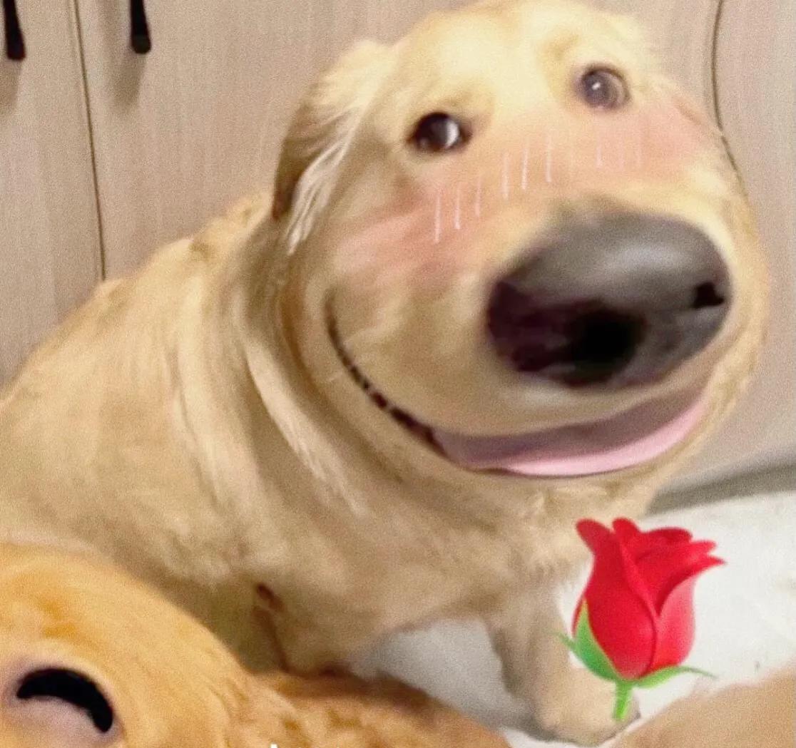 加了心仪女孩子的微信，第一句不知道怎么说？来看看别人怎么说的