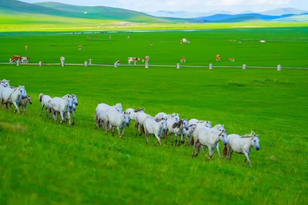 夏季旅游推荐3-4天游,夏天旅游攻略国内推荐3到4天