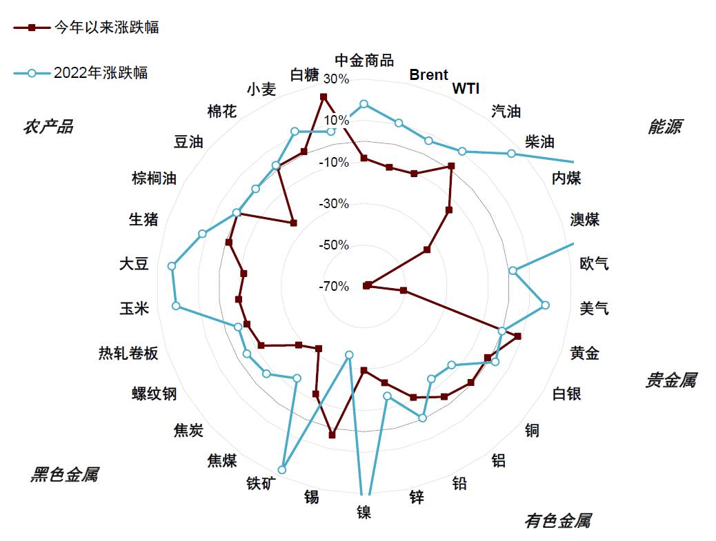 中金公司2024大宗商品展望,中金下周股价预测