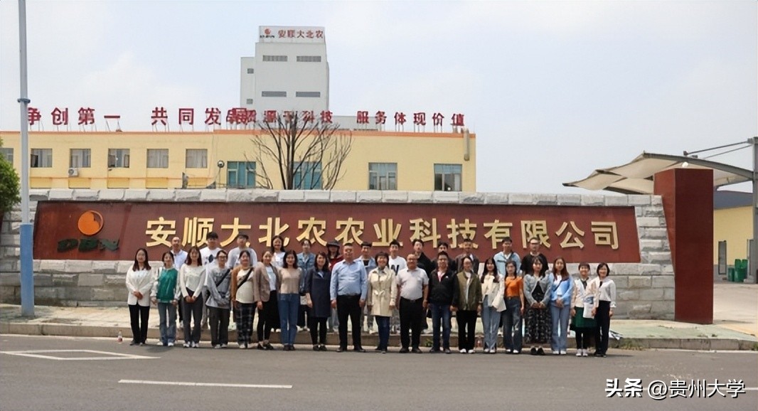 贵大这个学院,学生们的升学故事真精彩!