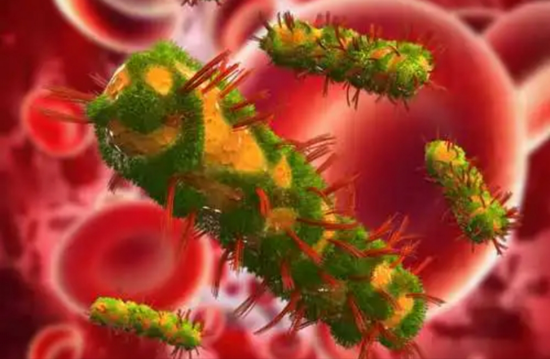 没有子宫了跟正常女人是一样的吗,女性天生没有子宫