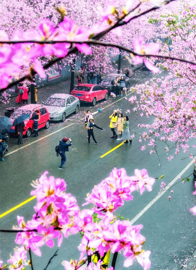 春天，我想到一座城，吃粉粉，看粉粉