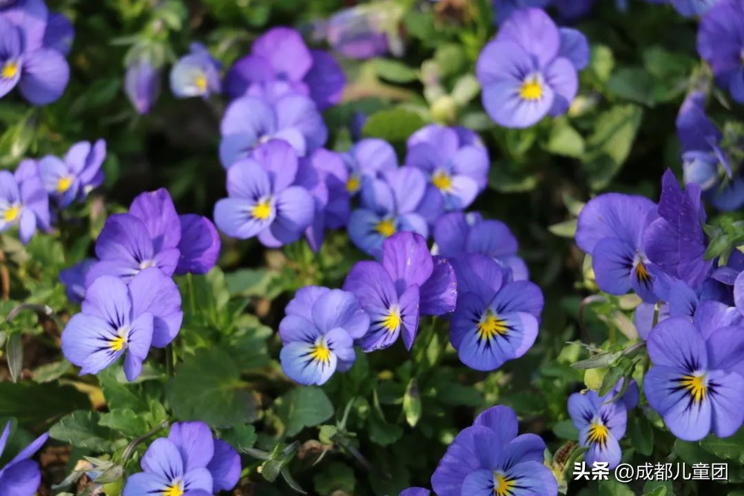 地铁3号线能到的美景地方,一号线地铁直达的风景