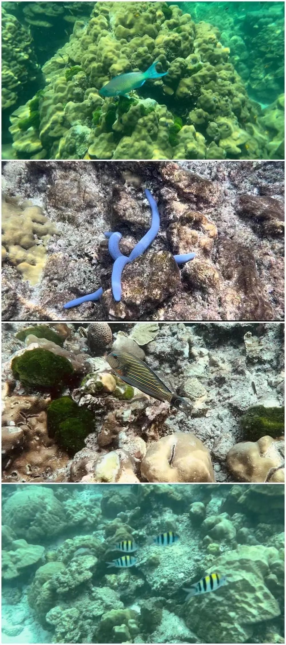 泰国五天自由行攻略,泰国旅游六天自由行攻略