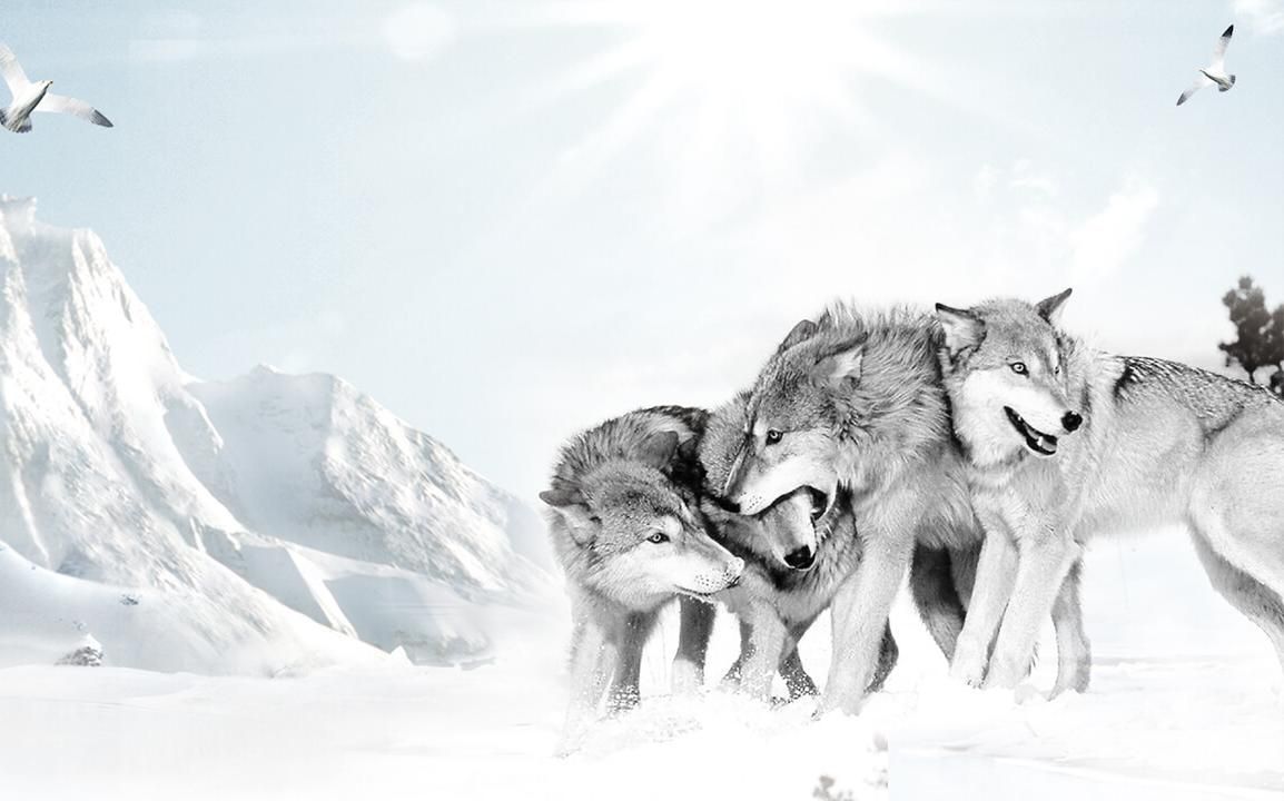 离职率高的企业文化,员工离职率高企业文化