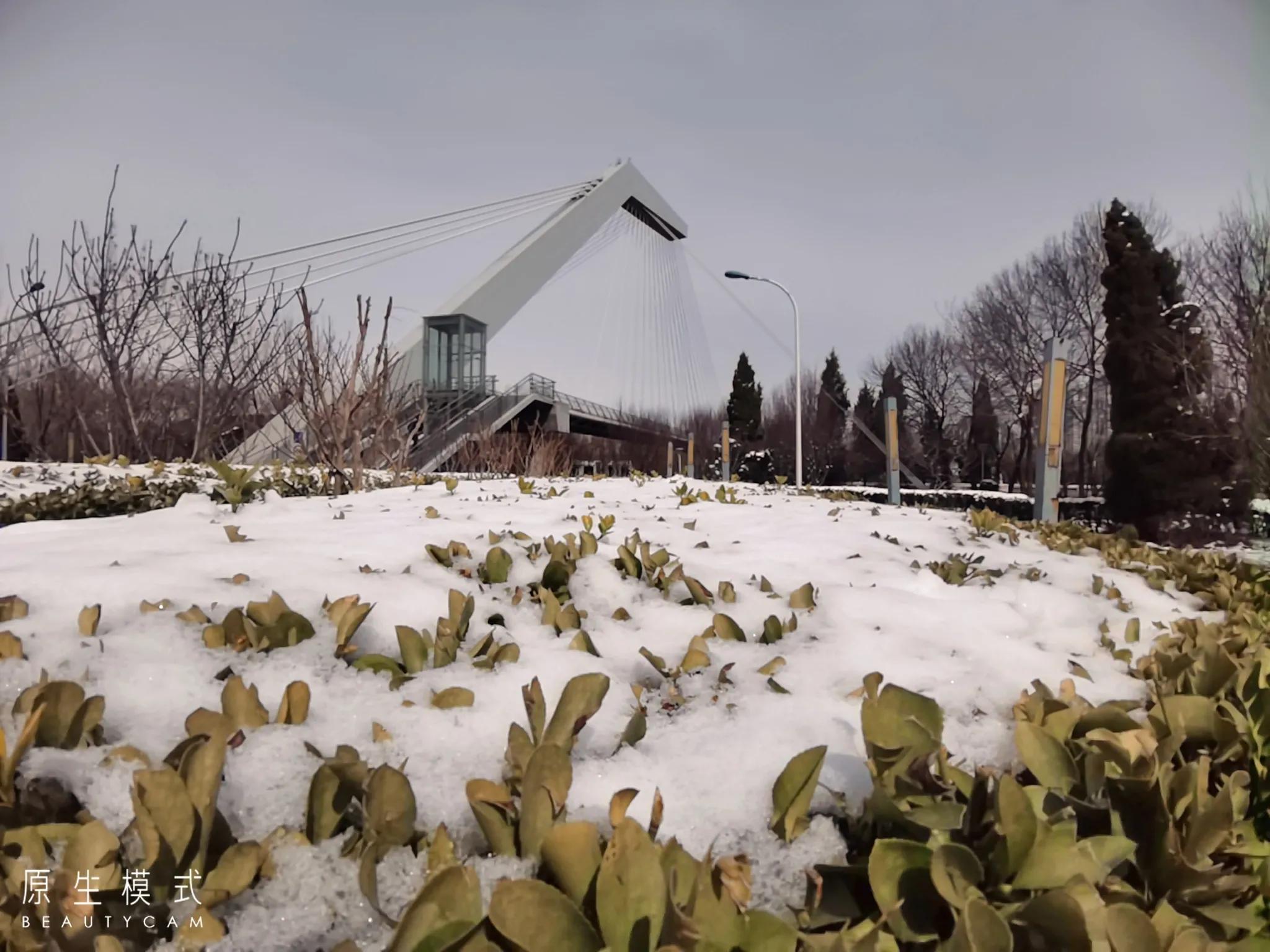 天津现在买房合适吗,天津泰达房价最新价格表