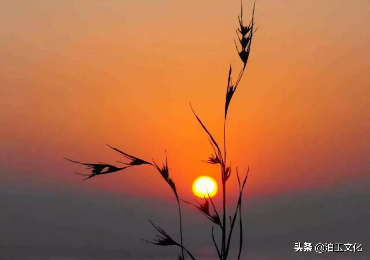 感悟人生九气,感悟人生的九大法则