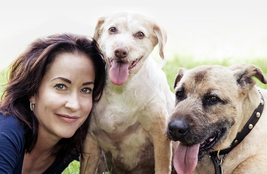 加速国内市场布局，SC官宣乐它奥利派为品牌两大业务代理